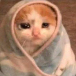 oat milk