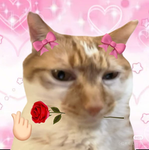 ! cured >m<