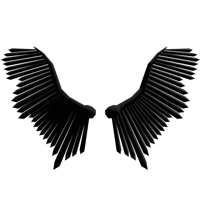 Void Wings
