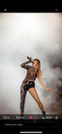 Swifties/livies