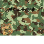 팬컴그룹:부대