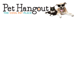 Pet Club's Hangout
