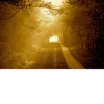 The Light of Wonder's