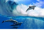 Tsunami Gamers