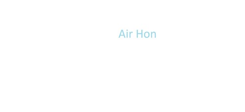 Honer International Airport