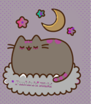 Pusheenowe Kozy Kitki