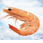 Operativo M(mariscos)