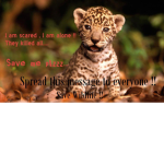 HELP SAVE THE EARTH!
