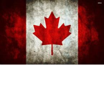 The Canadian Militia Artillery r