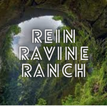 「Rein Ravine Ranch」