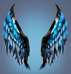 The Azurewing Family