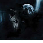 XXxMidnightWolve