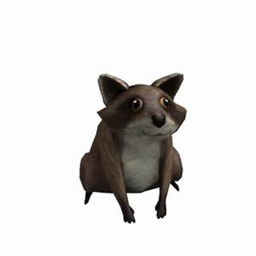 Raccoons United - Meeting Place