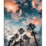 ~ᴍʏ ʟɪᴛᴛʟᴇ ᴘᴀʟᴍ ᴛʀᴇᴇs~