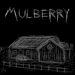 Mulberry County icon