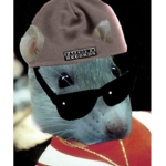 ~~ The Rat Homies ~~