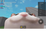 POP CAT TEAM :3