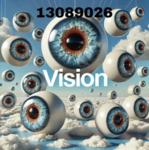 VISION CREWW