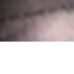 shehehehheudhdjdbnfjdisheeeeeeeeeeeeeeeeeeeeeeeesh