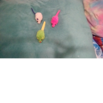 Tiny rats united