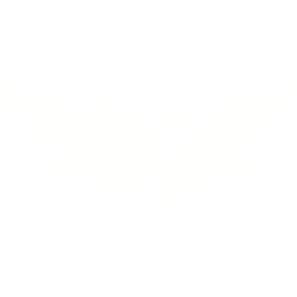 GLOWING white y2k cyber aura wings *emissive*
