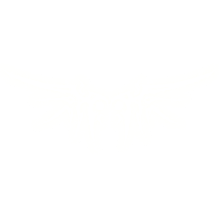 GLOWING white y2k cyber aura wings *emissive*