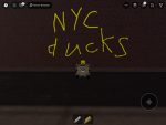 NYC Ducks