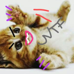 Gacha life cat