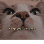 KITTYSQUAD!!!!!!!