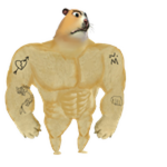 Bully Chomik