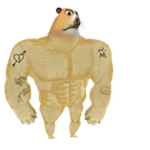 Bully Chomik