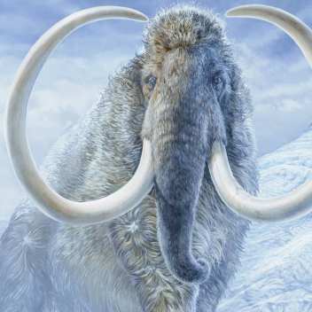 MAMMOTH MAZE