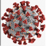 No corona virus