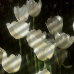 ──☆*:・ﾟ