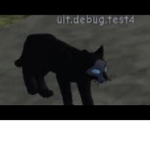 { Warrior Cats: Roleplays, Hunts, ETC! }