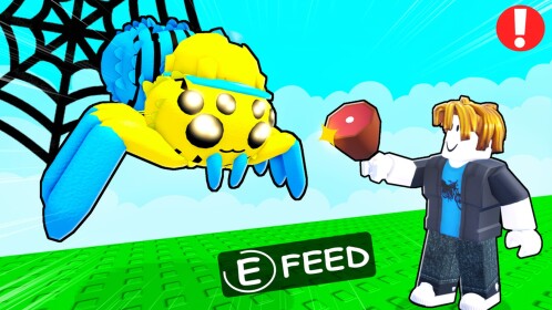 Feed a Spider🕷️