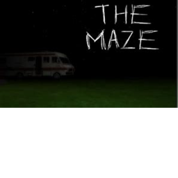 The Maze...