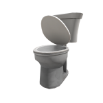 silly toilet