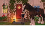 -Star stable fans-