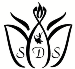 SDS Perm Team!
