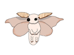 Thoughtless Moth