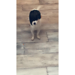 Max<333