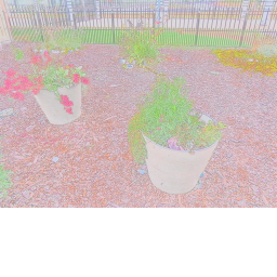 Rainbow Sqeed Hangout spot