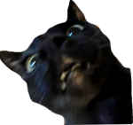 hmmxii