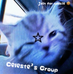 Celeste’s Group :p