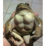 Click for cokkies