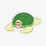 Turtle_Swag