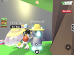 Trading with blue bear