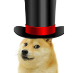 dog magico