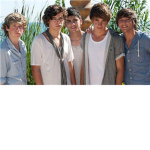One Direction Super Fans